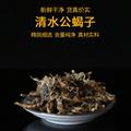 蝎子干中藥材全蟲50g清水全蝎子食用干貨整條無硫無鹽可泡酒磨粉
