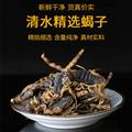 產(chǎn)地是我們依托，價(jià)格是我們優(yōu)勢，一手貨源常年供應(yīng)：清水全蝎，鹽水全蝎，育肥蝎子，活凍全蝎等各種規(guī)格