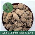 水田七 統(tǒng) 產(chǎn)地 廣西壯族自治區(qū) 庫存 300公斤可售 買家承擔(dān)運(yùn)費(fèi)