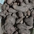 京輝藥業(yè) 干姜 姜碳  優(yōu)質(zhì)原材料去皮炮制 正品 