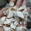 安祁名藥白首烏   白首烏片 牛皮消 隔山撬 