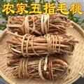 正宗河源五指毛桃根七指毛桃牛奶树根 产地批发 味道香浓煲汤汤料
