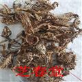 批發(fā)冷背中藥材 優(yōu)質(zhì) 正品 賽隆骨 瞎眼鼠 保障質(zhì)量 誠(chéng)信經(jīng)營(yíng)