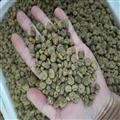 新貨野生元胡 特級正品延胡索片 無硫中藥材玄胡 元胡正品包郵