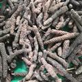 新辉药业中药材荜拨 火锅涮锅香料荜拨 