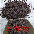 中藥材 索索葡萄 鎖鎖葡萄 梭梭葡萄干 索索葡萄干