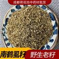 南鹤虱 统 产地 四川省