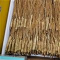 山参小条 配药 冲水 经济实惠 铅笔粗度 药用