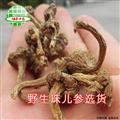 珠兒參 野生珠兒參選貨 產(chǎn)地 云南省 買好藥找娟子