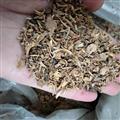 射干 祁射干 黄花射干颗粒 