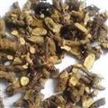 仙靈脾 淫羊藿根 新貨 顏色好  無蟲蛀 產(chǎn)地 黑龍江省