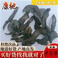 肉苁蓉 软质肉苁蓉统货 软大芸 产地 新疆维吾尔自治区 专注药材品质8年时间