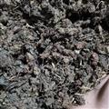 新辉药业正品锦地罗 落地金钱 怎地罗 