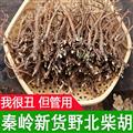 中藥材柴胡秦嶺野北柴胡正宗小柴胡新貨黑皮柴胡整條散裝柴胡根