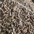 新辉药业中药材远志 抽芯小统货 