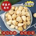光慈姑 毛慈菇 山慈菇 冰球子 統(tǒng) 產(chǎn)地 云南省 祥泰中藥行中藥材批發(fā)零售誠信藥材歡迎購買