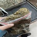 中藥材 蘇合香 蘇合 開(kāi)竅 辟穢 正品進(jìn)口 包郵