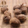 桑螵蛸 激光桑螵蛸 產(chǎn)地 山東省 地產(chǎn)直銷 大貨貨源