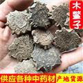 木鱉子 選裝 供應(yīng)各種中藥材 誠信鑄就未來 產(chǎn)地 江西省
