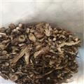 申威藥業(yè) 白頭翁 統(tǒng)貨 產(chǎn)地 黑龍江省  野丈人,胡王使者,白頭公