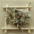 申威藥業(yè) 尋骨風 統(tǒng)貨 產(chǎn)地 湖北省 清骨風,貓耳朵,穿地節(jié),毛香,白毛藤,地丁香,黃木香,白面風,兔子耳,毛風草,猴耳草
