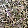 荆芥 新货颜色 好气味大统段 产地河北 1000g 中药材批发 规格齐全