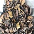諾源藥材行 青龍衣 青核桃皮 野核桃皮 山核桃青皮青核桃皮 青龍衣干 野核桃皮 山核桃青皮
