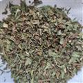 安祁名藥趕黃草  趕黃草葉 趕黃草花 