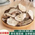 秦嶺菊苣 手工鍘片 日曬干凈500g