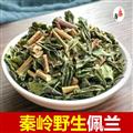 秦岭野生佩兰 新货日晒日晒干净无硫一等品500g 