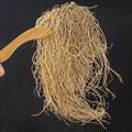 遼細(xì)辛 水洗貨 無雜質(zhì) 產(chǎn)地 遼寧省鐵嶺市