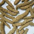 大巴戟肉 萬信藥業(yè) 巴戟肉一級個0.8 選貨 干度好 沒有霉  產(chǎn)地 廣東省