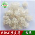 植物燕窝 雪燕 拉丝雪燕 产地 海外 买好药找娟子