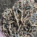 板藍根 板藍根小統(tǒng)段0.4以下 產地 甘肅省酒泉市市轄區(qū)