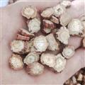 山东 丹参 精品片 喝茶片，  产地 山东☎18615301236 产地 山东省临沂市