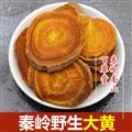 秦嶺野生大黃 新貨大片 日曬無(wú)硫 主根切片500g