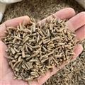 懷牛膝 淮牛夕 4號篩下顆粒 產(chǎn)地 河南省焦作市武陟縣