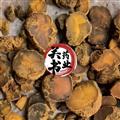 元胡 生延胡索（元胡）選貨0.8以上 切片 顏色好無(wú)開(kāi)裂一手貨源   無(wú)硫片 產(chǎn)地 浙江省杭州市