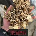云当归片野生正宗无硫当归黄芪党参两虚补气血新货中药材500g包邮