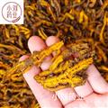 黃連 黃連片 新貨上市貨干無蟲蛀無霉變 產(chǎn)地 四川省 