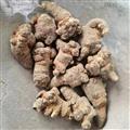 新店開(kāi)業(yè)歡迎選購(gòu) 三七 天一百草藥業(yè) 三七40頭 產(chǎn)地 云南省文山壯族苗族自治州文山縣