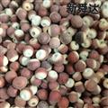 新店開業(yè)歡迎選購 天一百草藥業(yè) 芡實 1.2 產(chǎn)地 顆粒飽滿 廣東省