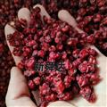 新店开业欢迎选购  五味子 天一百草药业  五味子精选货 产地 辽宁省