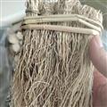 京辉药业 龙须草 养肝草 一把18 
