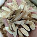 京輝藥業(yè) 黃芪 瓜子片 優(yōu)質(zhì)