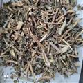 安祁名药中药材泽漆 猫眼草 五朵云 五凤草