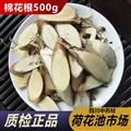 棉花根500g