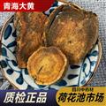 青海大黄500g