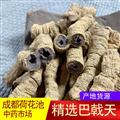 巴戟天中大统货500g