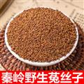 【正品保真】秦岭野生菟丝子吐丝子 兔丝子 新货黄粒日晒无硫500g 已配沙苑子韭菜子